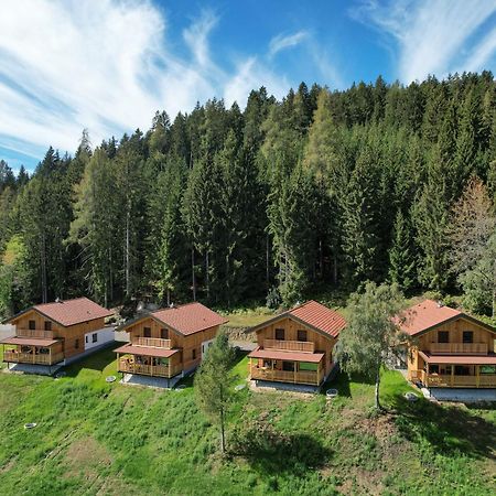 Hochleben-Chalets Am Erlebnisbauernhof Steinerhof Liebenfels Ngoại thất bức ảnh