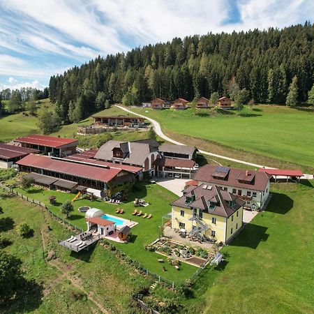 Hochleben-Chalets Am Erlebnisbauernhof Steinerhof Liebenfels Ngoại thất bức ảnh