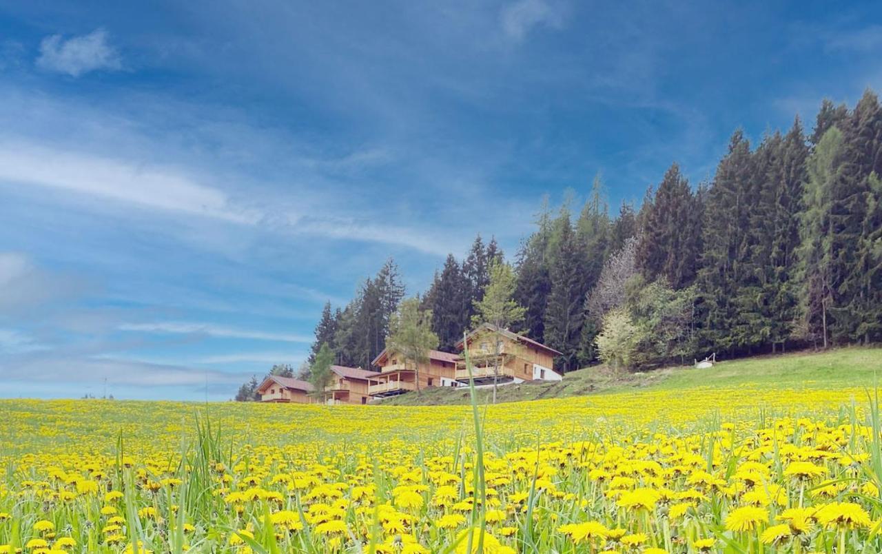 Hochleben-Chalets Am Erlebnisbauernhof Steinerhof Liebenfels Ngoại thất bức ảnh