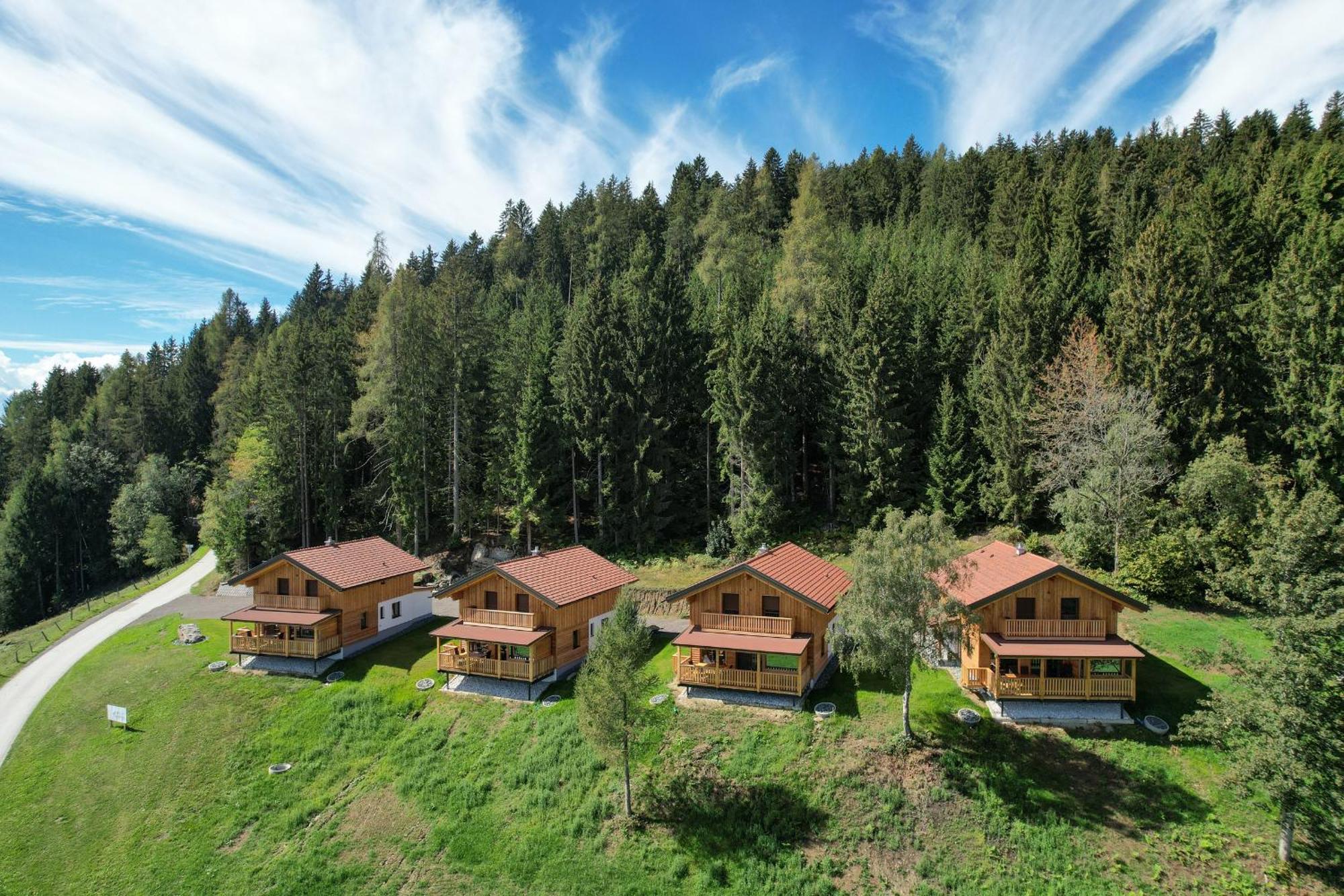 Hochleben-Chalets Am Erlebnisbauernhof Steinerhof Liebenfels Ngoại thất bức ảnh