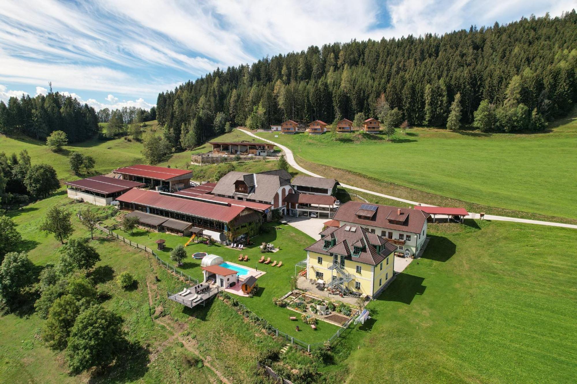 Hochleben-Chalets Am Erlebnisbauernhof Steinerhof Liebenfels Ngoại thất bức ảnh